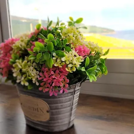 Lägenhet Arribolas Bermeo